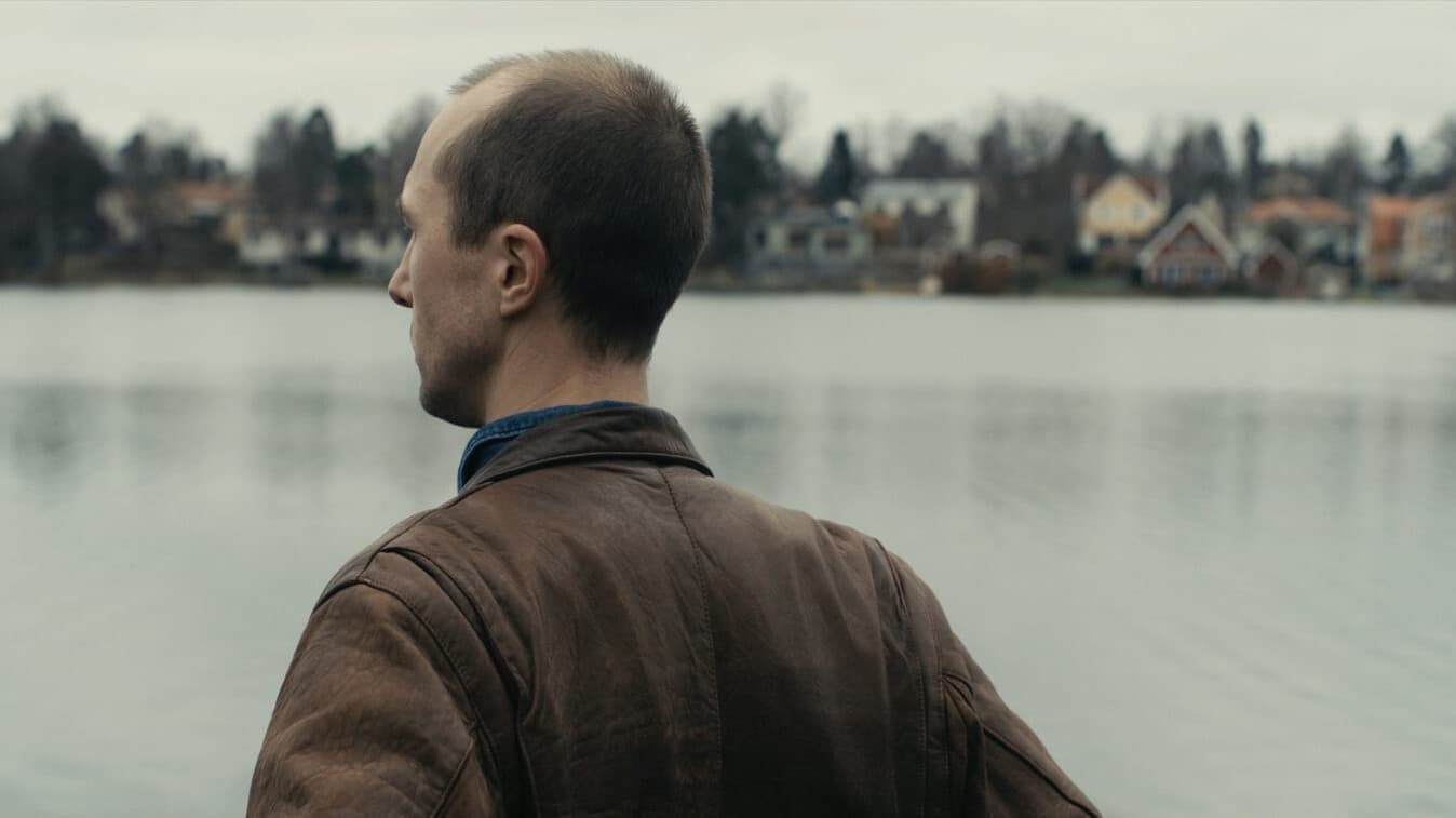 Małpy Cały Film Online